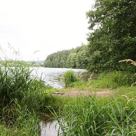 Ubytovani Zdarske Vrchy Světnov Exteriör bild